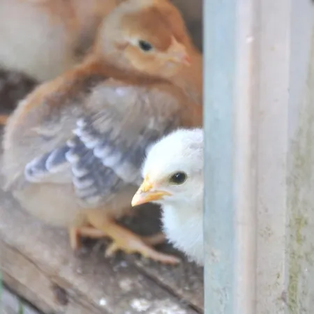 Ferienwohnung Neuendorf
