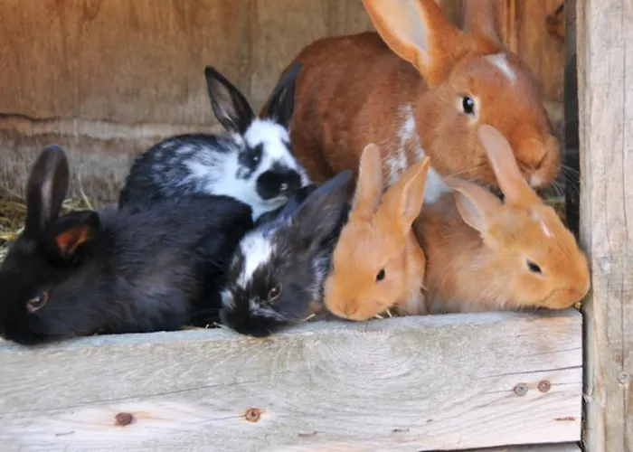 아파트 Ferienwohnung Neuendorf *